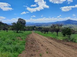  Land for sale in Melipilla, Santiago, Melipilla, Melipilla