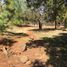  Land for sale in Mineral Del Chico, Hidalgo, Mineral Del Chico