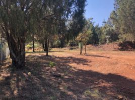  Land for sale in Mineral Del Chico, Hidalgo, Mineral Del Chico