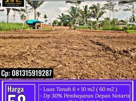  Land for sale in Kepanjen, Malang Regency, Kepanjen