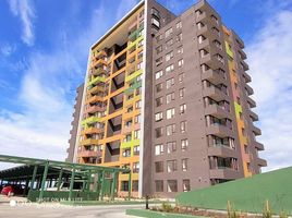 로스 라고스PropertyTypeNameBedroom, Puerto Montt, Llanquihue, 로스 라고스