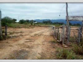  Land for sale in Independencia, La Rioja, Independencia