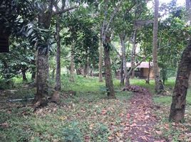  Land for sale in Indang, Cavite, Indang