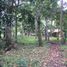  Land for sale in Indang, Calabarzon, Indang