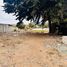  Land for sale in Chile, Coquimbo, Elqui, Coquimbo, Chile