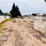  Land for sale in Chile, Coquimbo, Elqui, Coquimbo, Chile