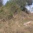  Land for sale in Colon, Cordoba, Colon