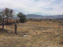  Grundstück zu verkaufen in Ixtlahuacan De Los Membrillos, Jalisco, Ixtlahuacan De Los Membrillos