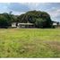  Land for sale in Palmira, Valle Del Cauca, Palmira