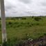  Land for sale in Tlayacapan, Morelos, Tlayacapan