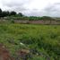  Land for sale in Tlayacapan, Morelos, Tlayacapan