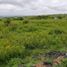  Land for sale in Tlayacapan, Morelos, Tlayacapan