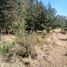  Land for sale in Pa Daet, Chiang Rai, Pa Daet, Mae Suai
