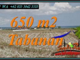  Land for sale in Selemadeg, Tabanan, Selemadeg