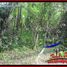  Land for sale in Selemadeg, Tabanan, Selemadeg