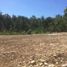  Land for sale in Klaten Tengah, Klaten, Klaten Tengah