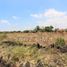  Land for sale in Celaya, Guanajuato, Celaya