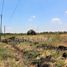  Land for sale in Celaya, Guanajuato, Celaya