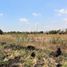  Land for sale in Celaya, Guanajuato, Celaya