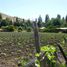  Terreno (Parcela) en venta en Chacabuco, Santiago, Colina, Chacabuco