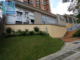 42 SqM Office for rent in Bare Foot Park (Parque de los Pies Descalzos), Medellin, Medellin