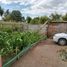  Land for sale in Nuble, Quillon, Diguillin, Nuble