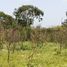  Terreno (Parcela) en venta en Merida, Yucatán, Merida, Yucatán