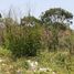  Terreno (Parcela) en venta en Merida, Yucatán, Merida, Yucatán