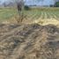  Land for sale in El Arenal, Jalisco, El Arenal