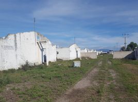  Land for sale in Molcaxac, Puebla, Molcaxac