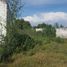  Land for sale in Molcaxac, Puebla, Molcaxac