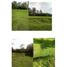 Land for sale in Volcan, Chiriqui, Volcan, Bugaba