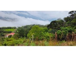  Land for sale in Alto Boquete, Boquete, Alto Boquete