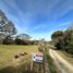  Land for sale in Capital, Salta, Capital, Salta