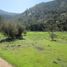 Terreno (Parcela) en venta en Melipilla, Santiago, Curacavi, Melipilla