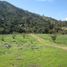  Terreno (Parcela) en venta en Melipilla, Santiago, Curacavi, Melipilla