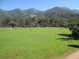 Terreno (Parcela) en venta en Melipilla, Santiago, Curacavi, Melipilla