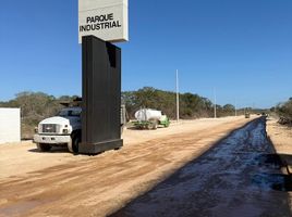  Grundstück zu verkaufen in Uman, Yucatan, Uman