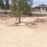  Terreno (Parcela) en venta en Tumbaco, Pichincha, Tumbaco