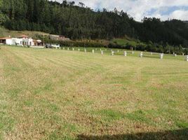  Land for sale in Otavalo, Imbabura, San Jose De Quichinche, Otavalo