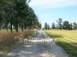  Land for sale in Apaseo El Grande, Guanajuato, Apaseo El Grande