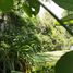 6 Habitación Casa en venta en Cuernavaca, Morelos, Cuernavaca