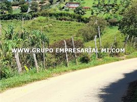  Land for sale in Envigado, Antioquia, Envigado