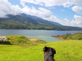  Terreno (Parcela) en venta en Calima, Valle Del Cauca, Calima