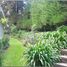 4 Bedroom House for sale in Quito, Pichincha, Quito, Quito