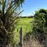  Land for sale in Cunduacan, Tabasco, Cunduacan