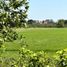  Land for sale in Cunduacan, Tabasco, Cunduacan