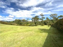  Grundstück zu verkaufen in La Ceja, Antioquia, La Ceja