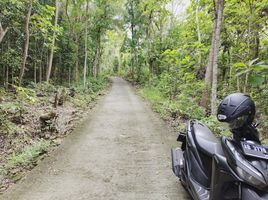  Land for sale in Bantul, Yogyakarta, Sedayu, Bantul