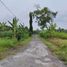  Land for sale in Bantul, Yogyakarta, Sedayu, Bantul